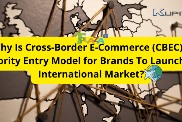 why CBEC is a priority entry model for international market